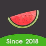 Melon VPN Premium APK
